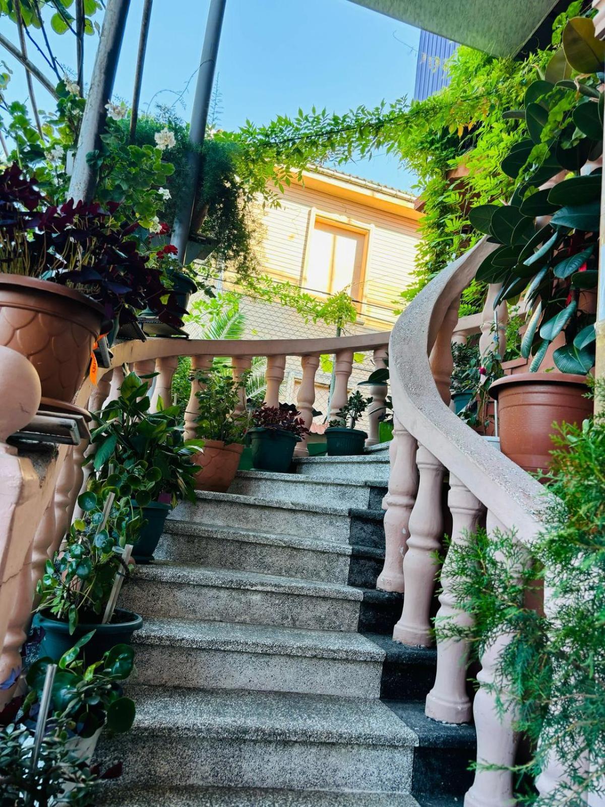 Nikas Guest House Batumi Luaran gambar